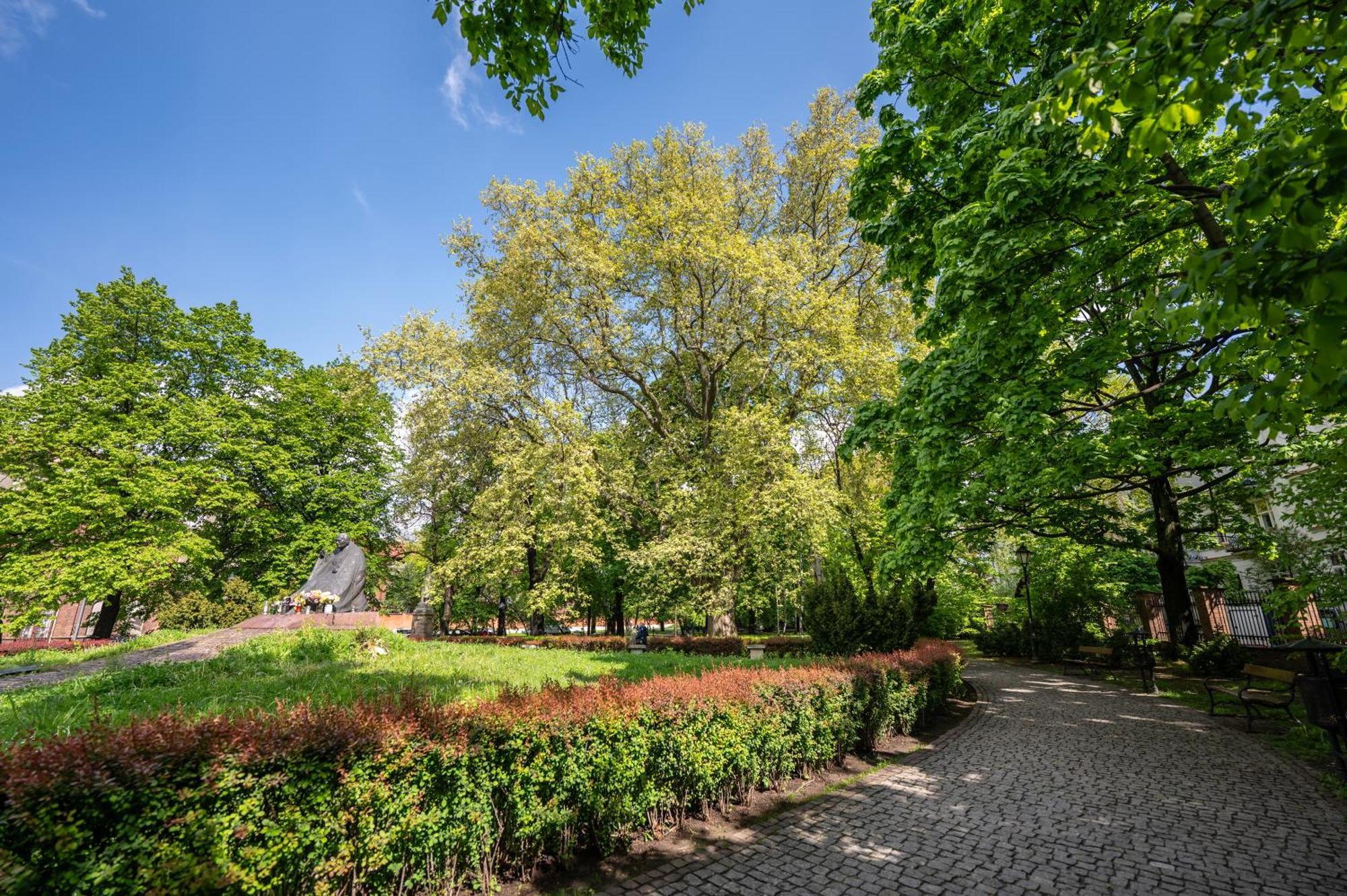 Modena Moxy Te&Am Cracow Apartment Krakow Bagian luar foto
